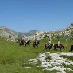 Ristorante Payarin