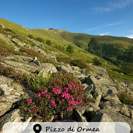Ristorante Payarin *