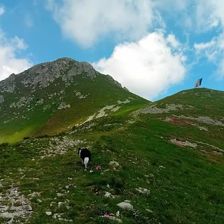 Ristorante Payarin Hotell Ormea