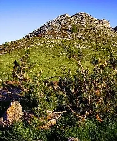 Ristorante Payarin * Ormea